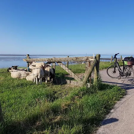 G4 Nordsee-ferienhaus Mit Sauna Und Garten By Interhome