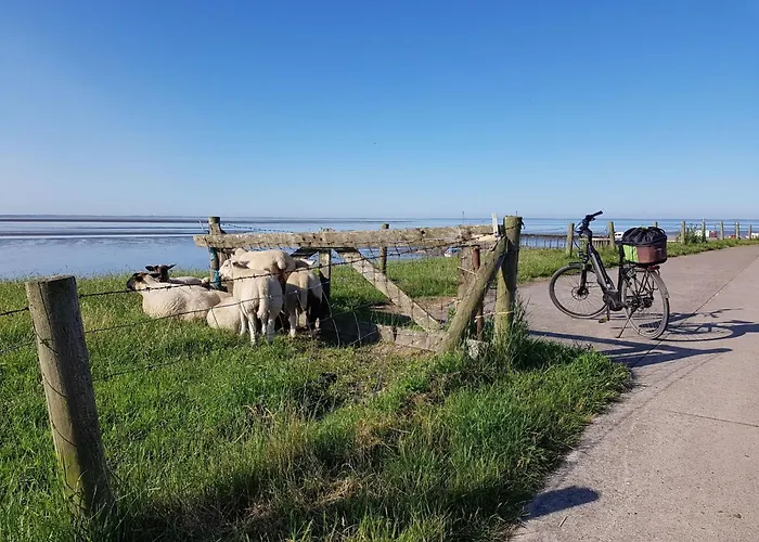 G4 Nordsee-ferienhaus Mit Sauna Und Garten By Interhome